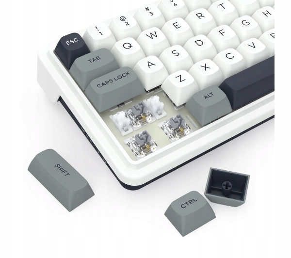 Klawiatura mechaniczna Redragon Draconic V2 K730WGP-RGB-PRO Biało-Szara